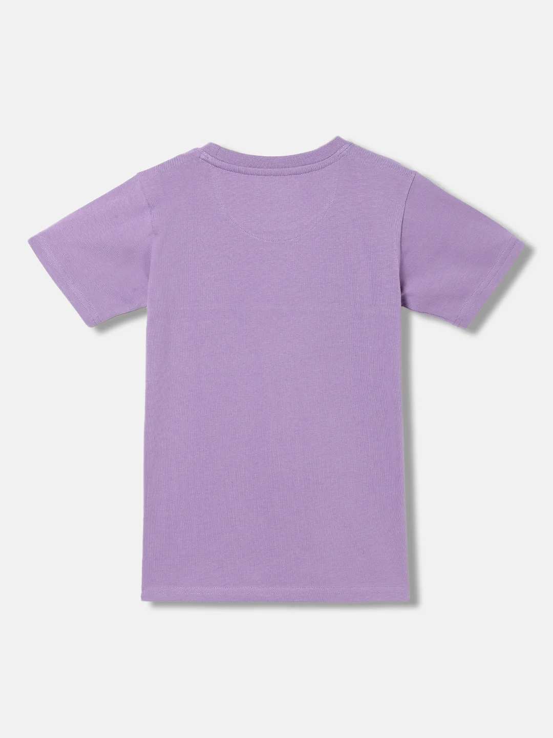 Blue Giraffe Boys Lavender Color-Blocked Round Neck Short Sleeves Tshirt - Image 2