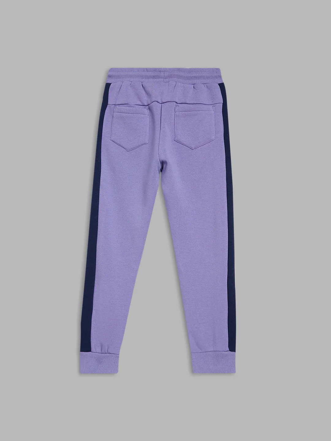 Blue Giraffe Boys Blue Solid Regular Fit Sweatpant - Image 2