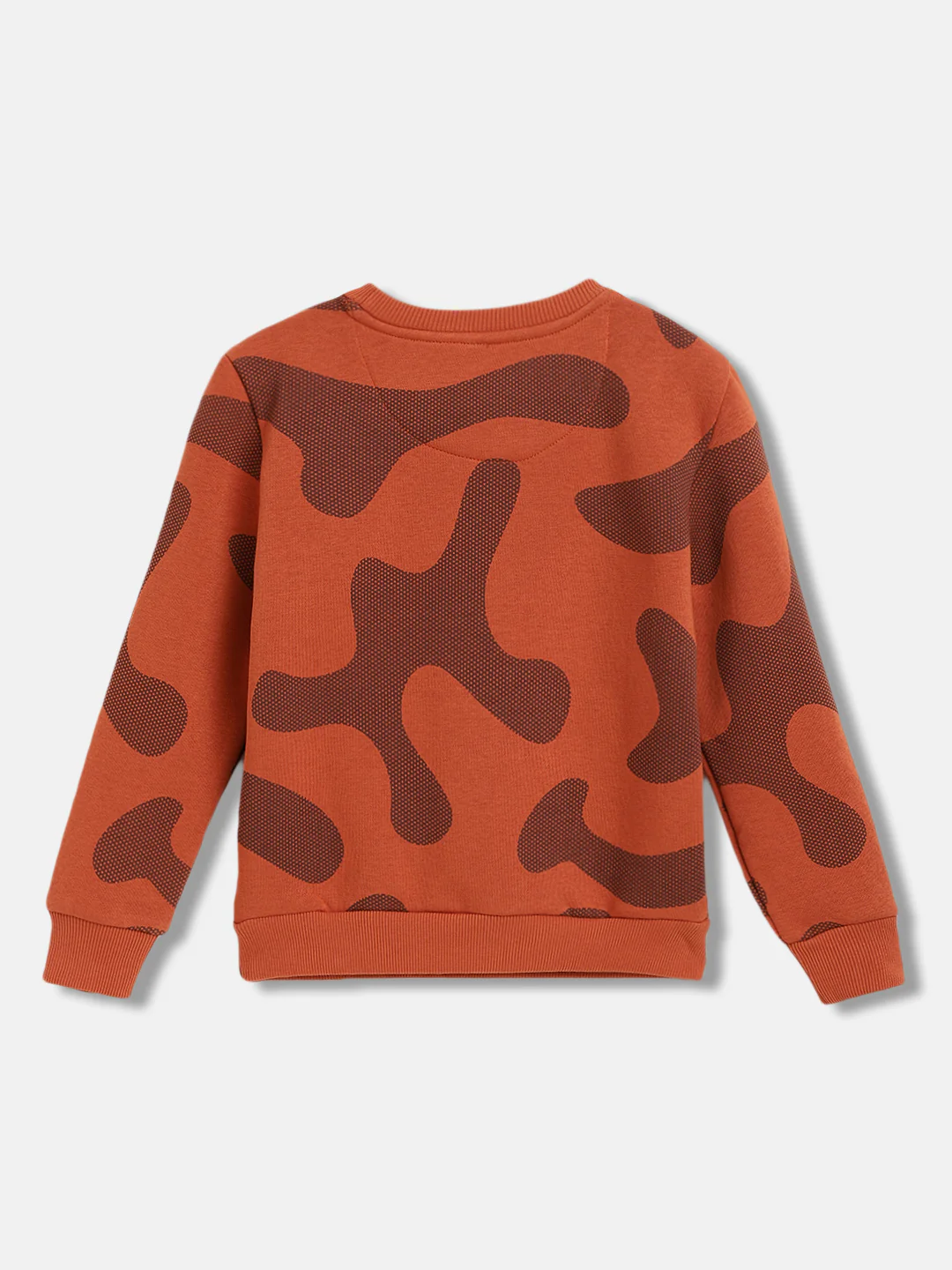 Blue Giraffe Boys Solid Full Sleeves Round Neck Sweatshirt - Image 2