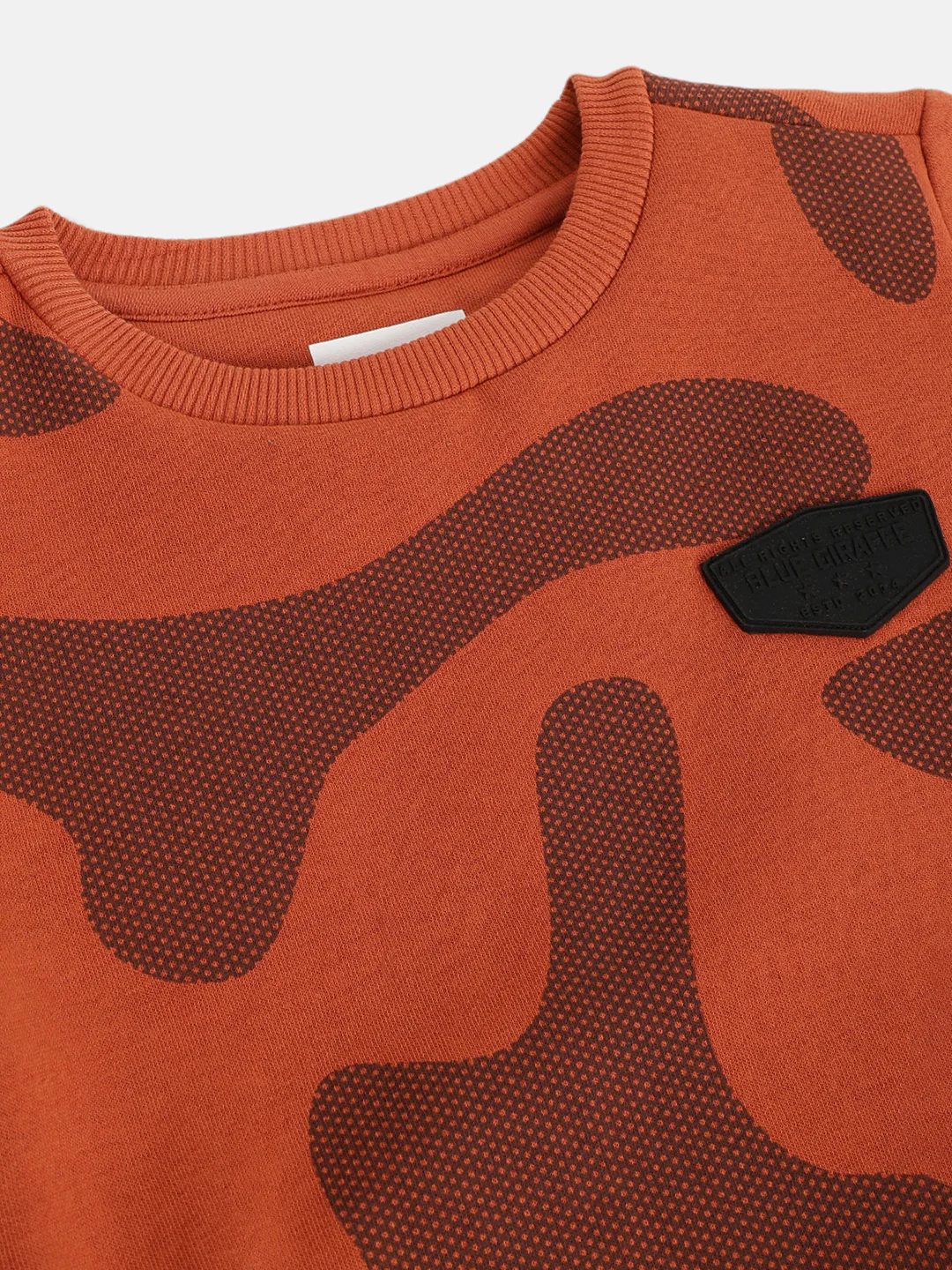 Blue Giraffe Boys Rust Printed Round Neck Full Sleeves Pullover Style Sweatshirt - Image 3