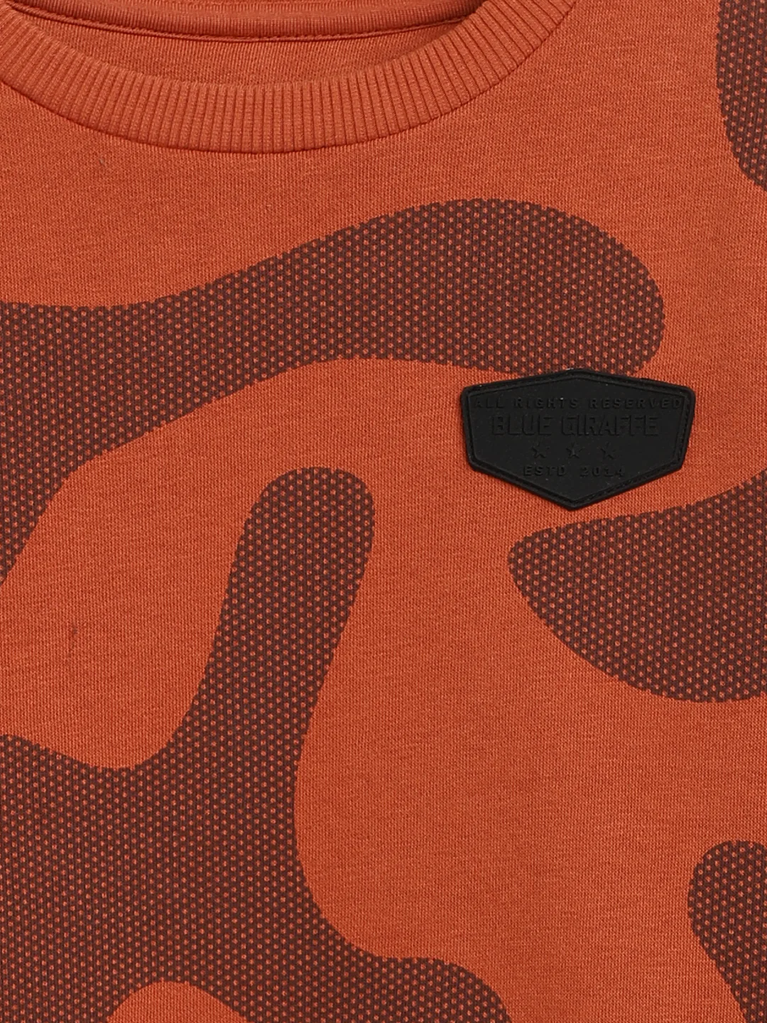 Blue Giraffe Boys Rust Printed Round Neck Full Sleeves Pullover Style Sweatshirt - Image 4