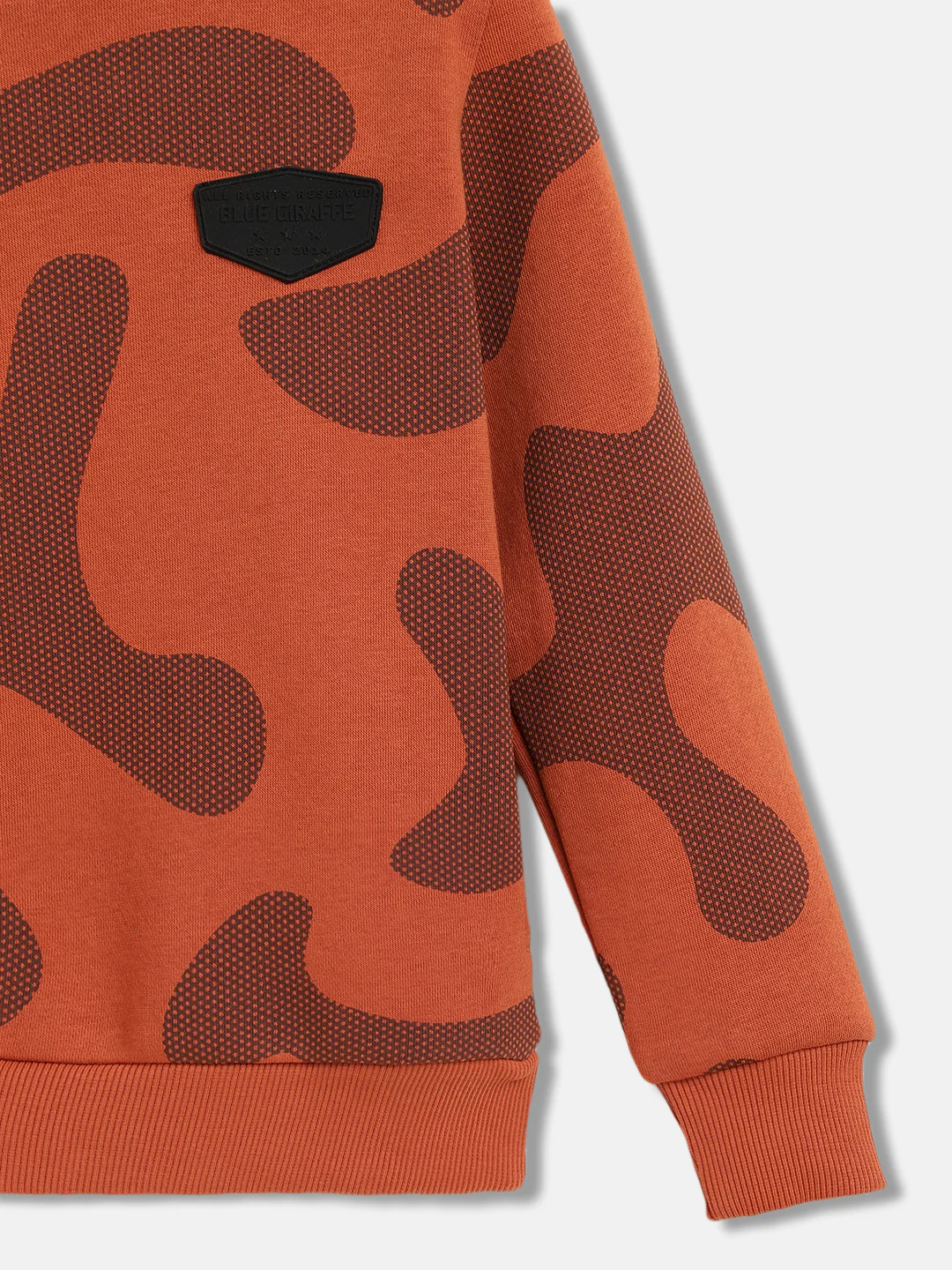 Blue Giraffe Boys Rust Printed Round Neck Full Sleeves Pullover Style Sweatshirt - Image 5