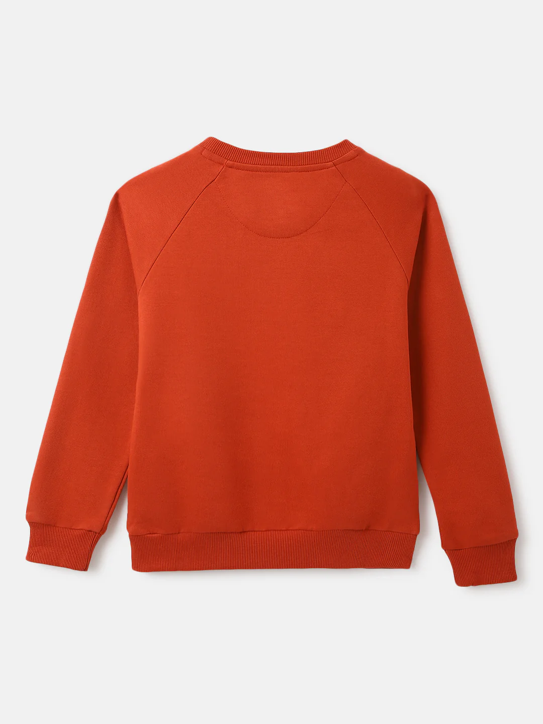 Blue Giraffe Boys Red Embroidered Round Neck Full Sleeves Sweatshirt - Image 2