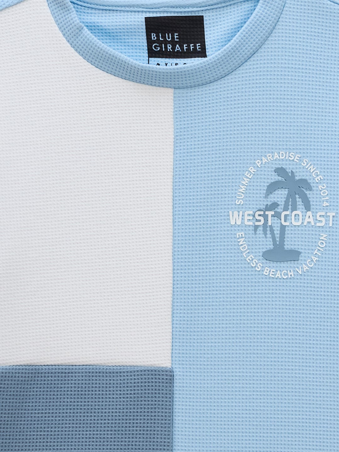 Blue Giraffe Boys Multi Solid Crew Neck TShirt - Image 3