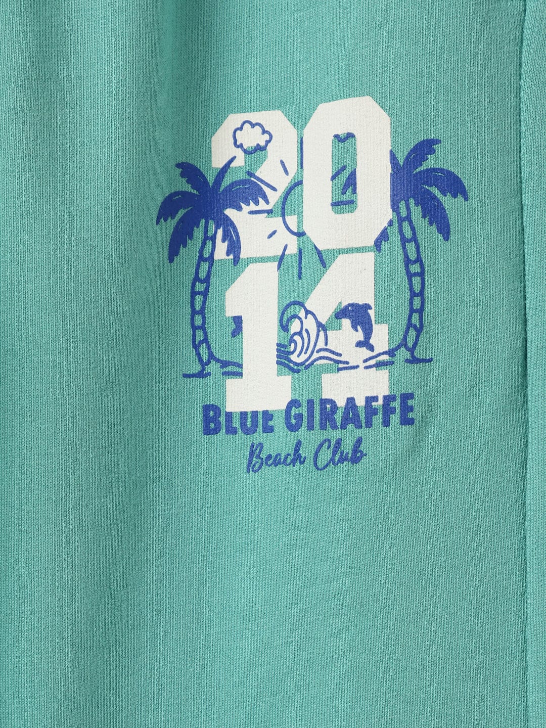 Blue Giraffe Boys Green Regular Fit Solid Jogger - Image 7