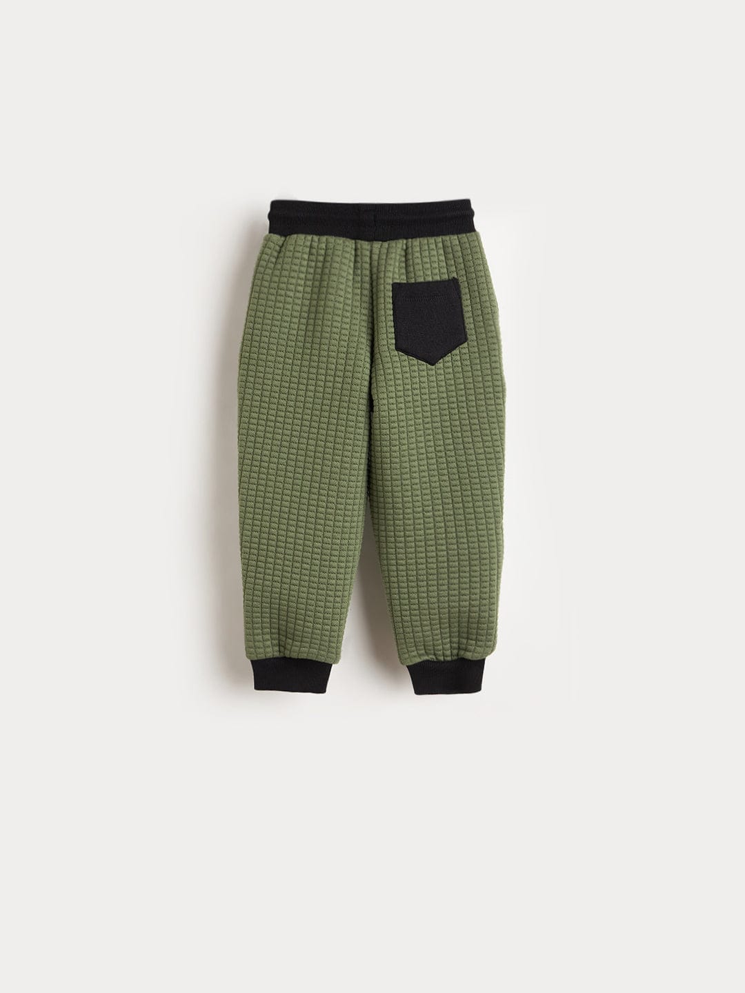 Blue Giraffe Boys Jogger Green Logo Sweatpant - Image 2