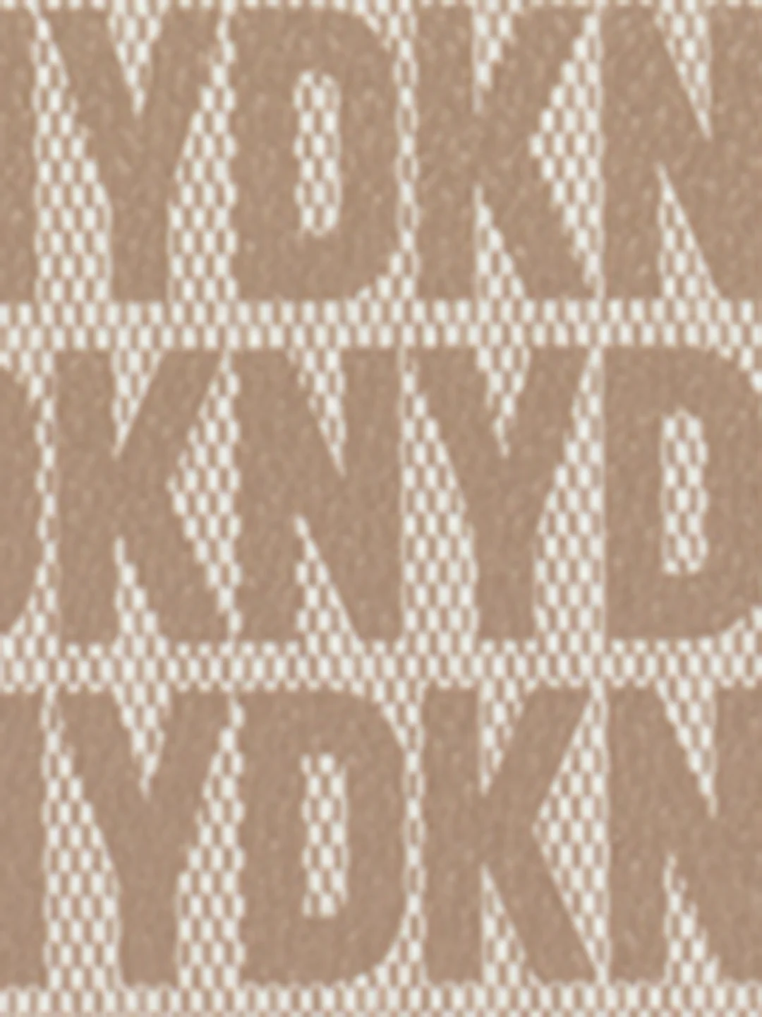 DKNY Women Beige Printed Handbags - Image 4