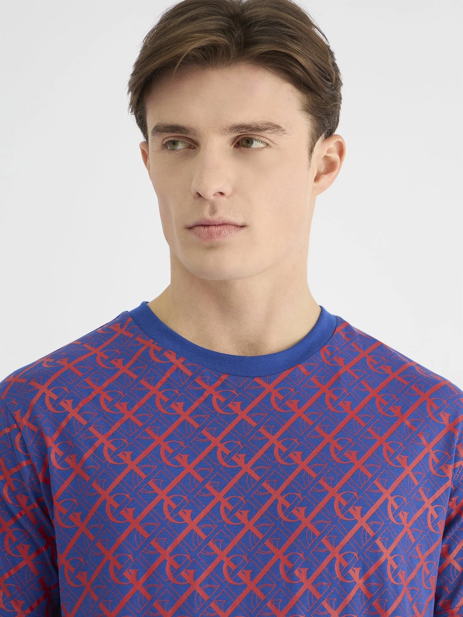 Gant Men Blue Regular Fit Printed Crew Neck Tshirt - Image 4