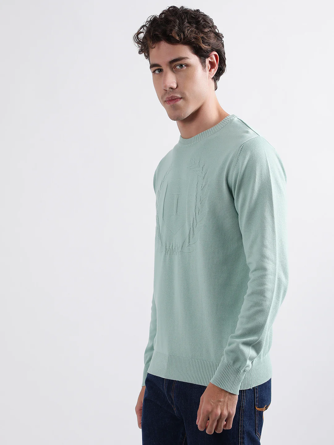 Iconic Men Green Solid Round Neck Full Sleeves Pullover Style Sweater - Image 2