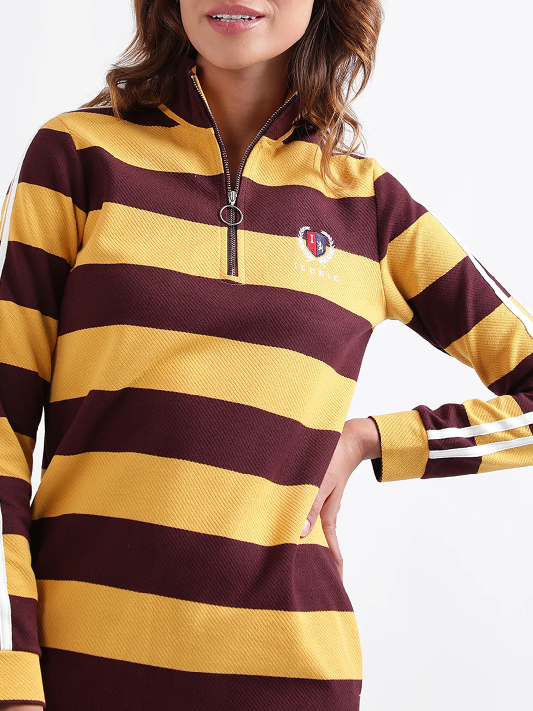 Iconic Women Striped Full Sleeves High Neck Dress - Image 5