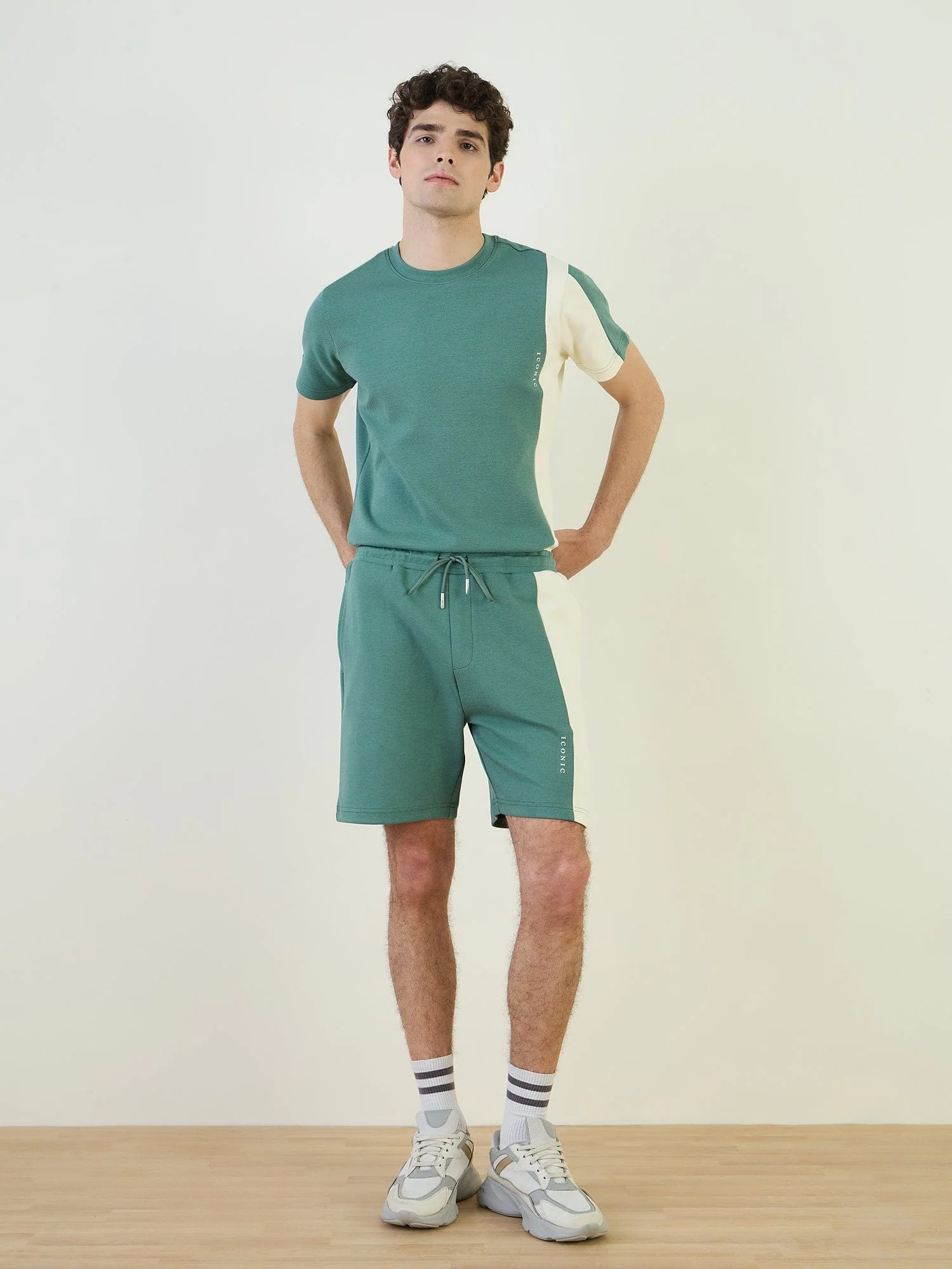 Iconic Men Green Regular Fit Color Block Shorts - Image 2
