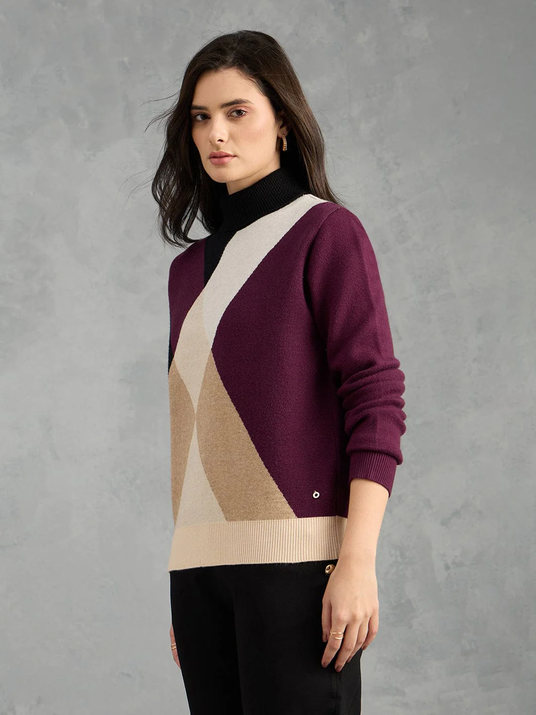 Iconic Women Multicolor Textured High Neck Sweater - Image 2