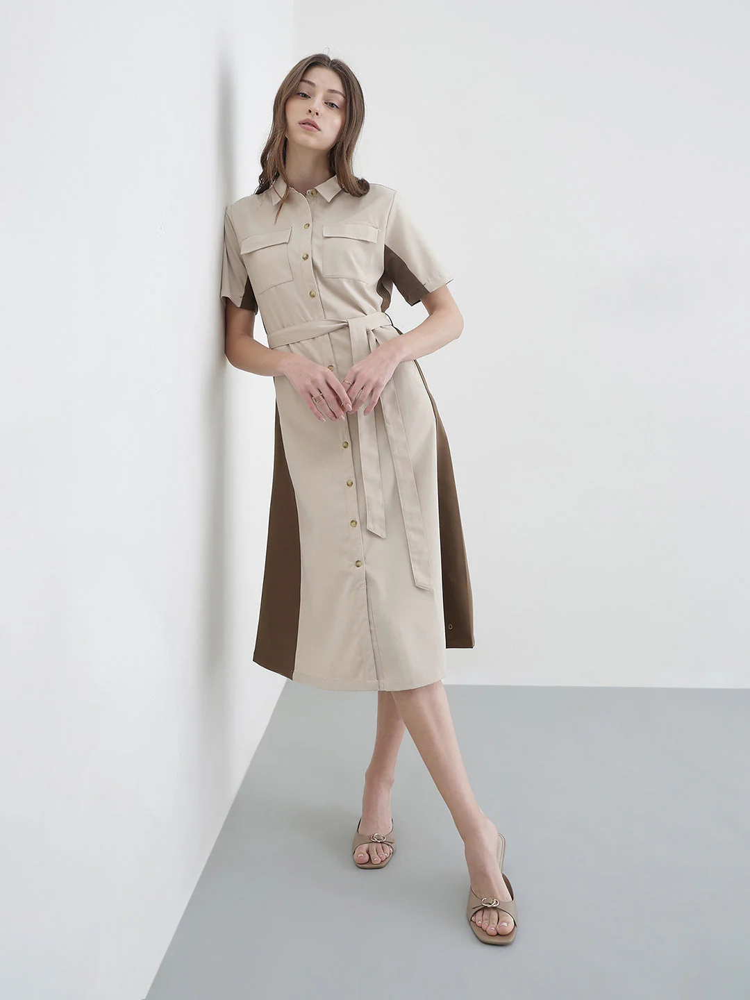 Iconic Women Beige Colorblock Regular Fit Dress - Image 2