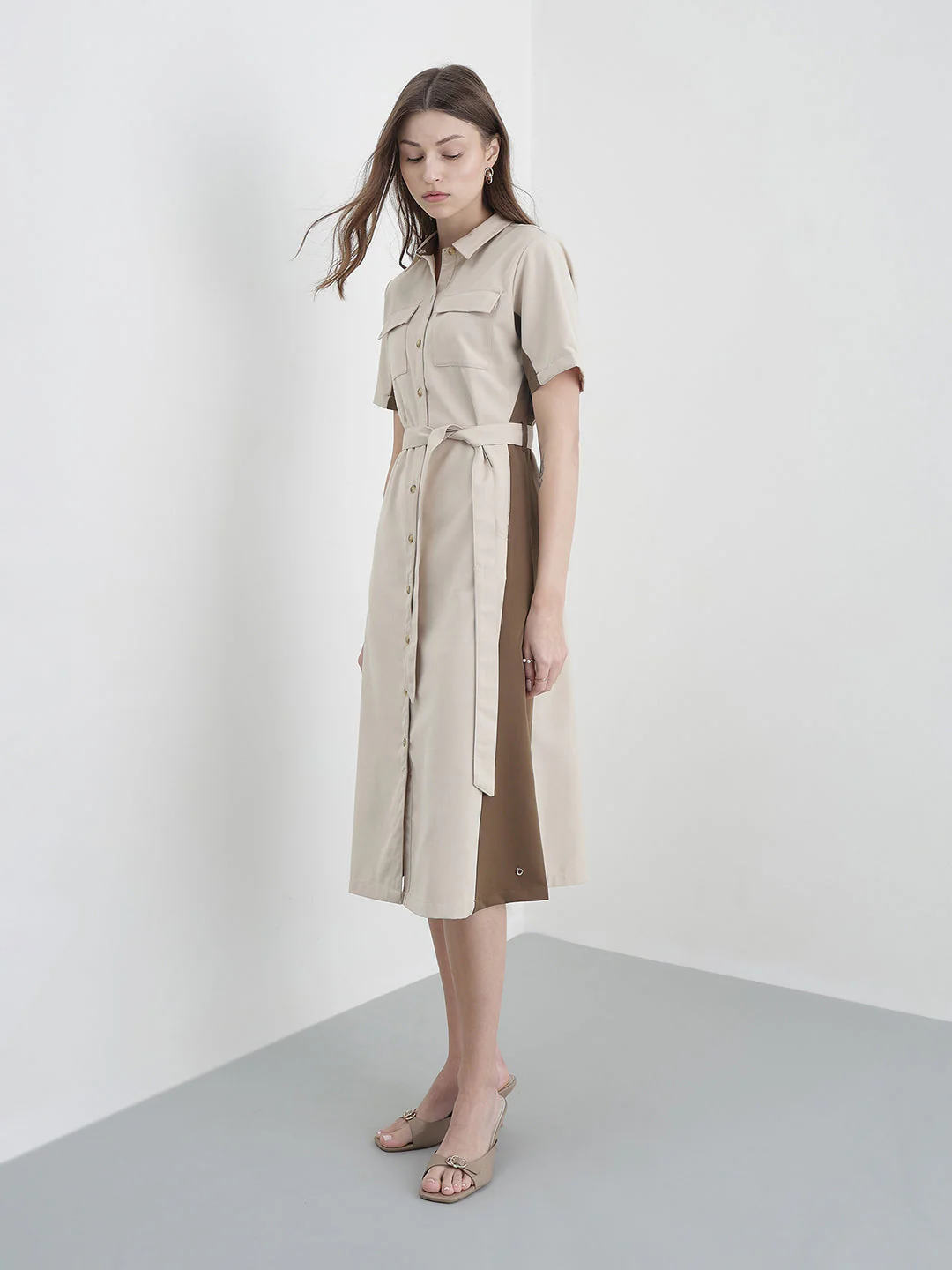 Iconic Women Beige Colorblock Regular Fit Dress - Image 3