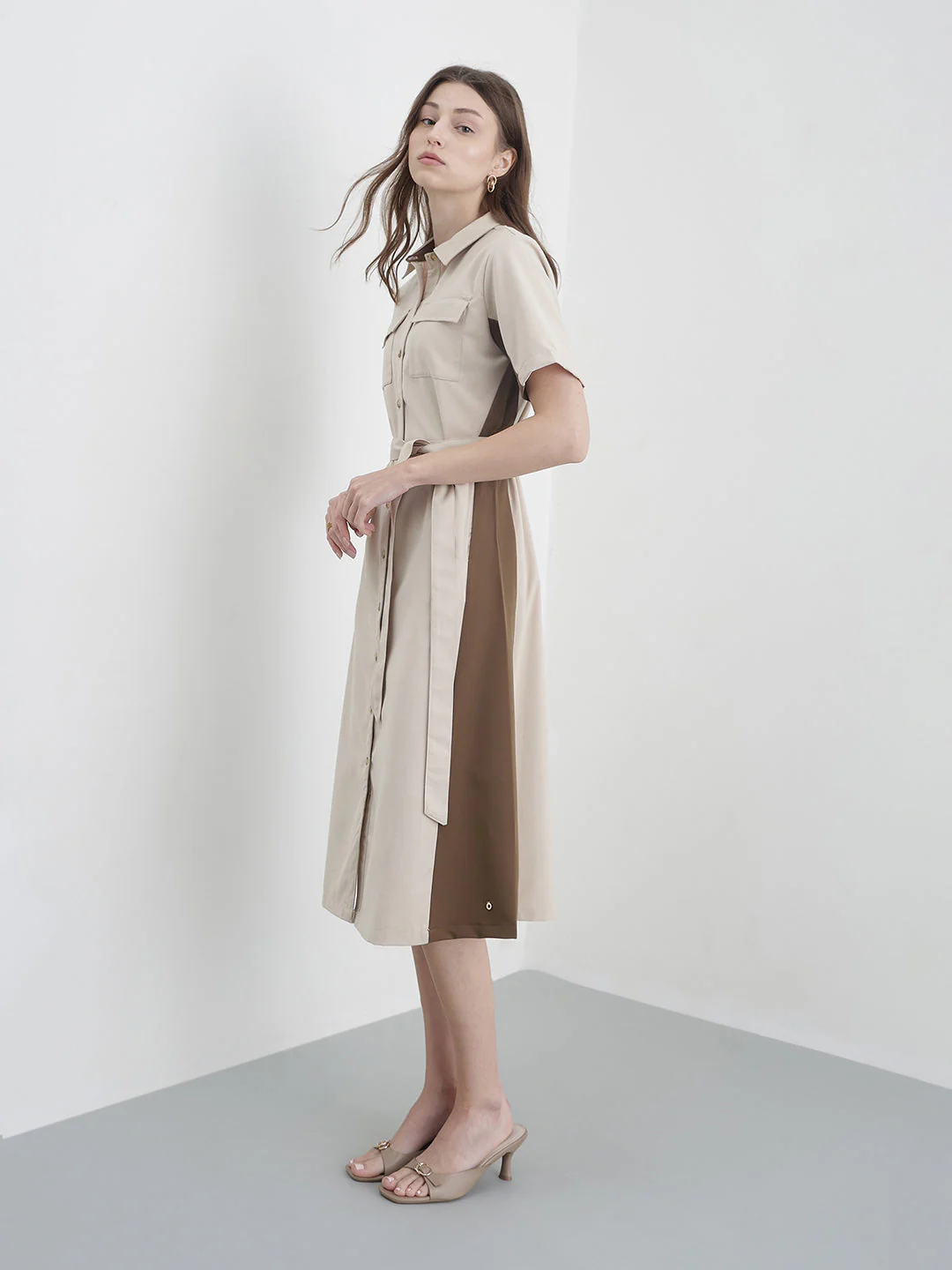 Iconic Women Beige Colorblock Regular Fit Dress - Image 5